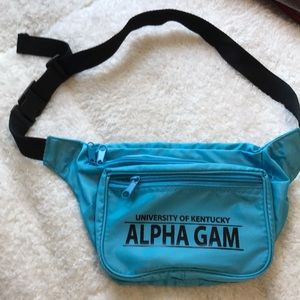AGD Fanny Pack (alpha gamma delta)